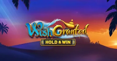 Wish Granted